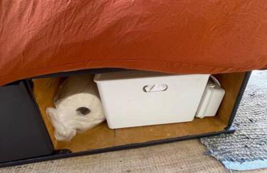 The Hideout - Stargazing Glamping Swim Oasis - Foto 31