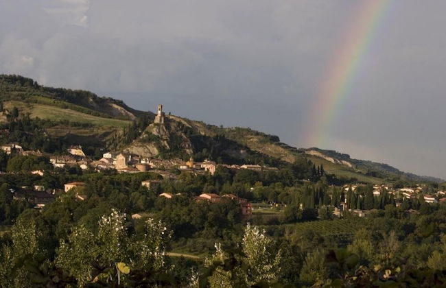 Verdidea - Ovello - Foto 22