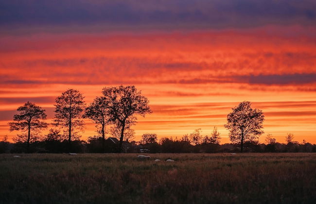 Wellness Lodge in Dutch Meadows With Hot Tub - Photo 30