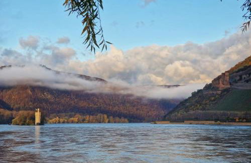 Ferienwohnung Rheinblick - Foto 20