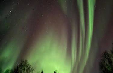 Northern Lights Log House w/ Sauna - Foto 77