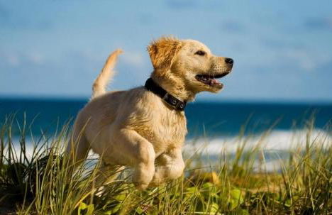 FFR101 - The Wright Idea - Foto 43