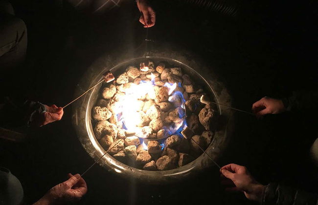 Observación de estrellas en Tekapo - Foto 6