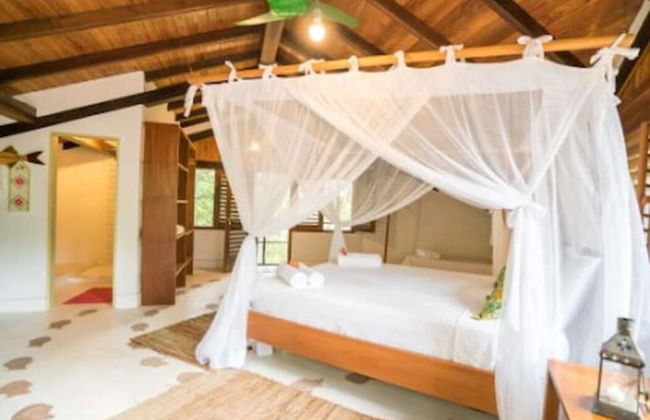 Casa do Arvoredo - casa com serviços - Photo 4