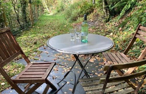 Pretty sunny cottage, Machynlleth - Photo 4