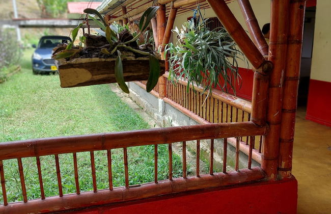 Finca La Macarena by Welttisch - Photo 28