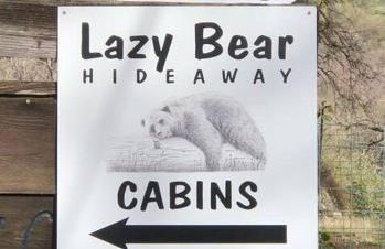 Cozy Cub Cabin, brand new home near Yosemite - Foto 26