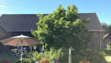 Suiten - Schlamau19 - Foto 3