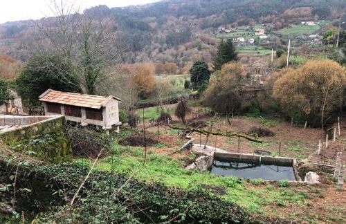 QUINTA do SOUTO BARCIADEMERA - Foto 74