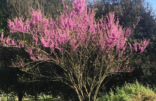 RESORT Giardino degli aranci - Casa Lisca - Foto 26