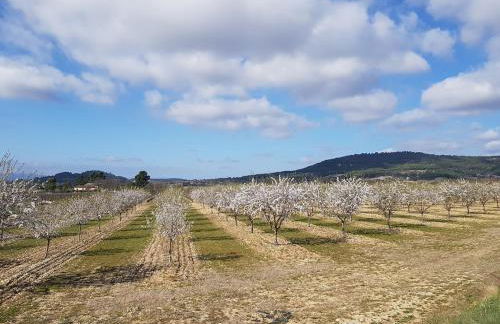 Lou pichoun studio au coeur d'un village provençal - Foto 28