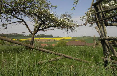 Sonnige Südwohnung mit Terrasse, Badesee - Foto 37