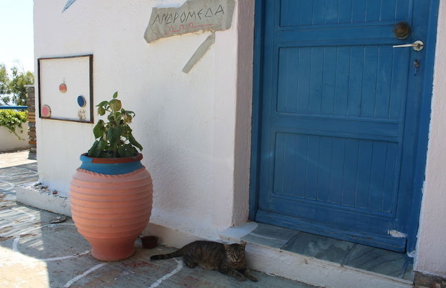 Villette Adonis - Foto 19