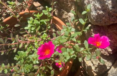 Villetta belvedere - Photo 30