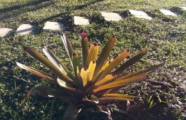 Recanto do Leão - Foto 37