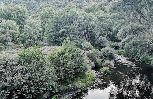 La nueva Escuela - Foto 23