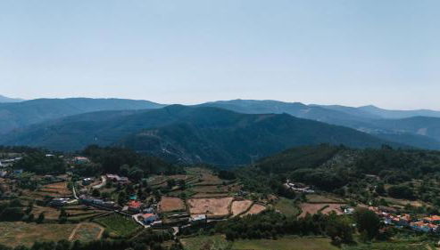 Alvarenga Apartments - Foto 3