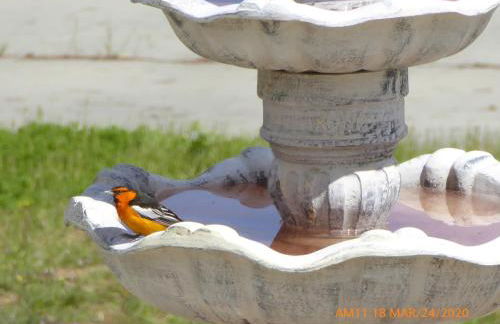 Mansion on the Hill let 4 Rooms, 5th cost extra - Foto 41