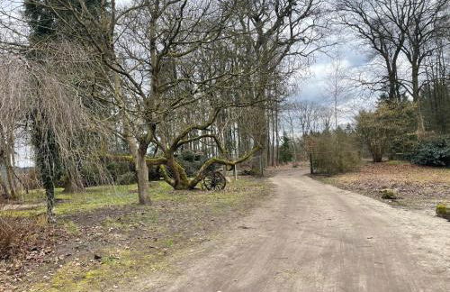 The Cottages - Pet Friendly - Photo 68