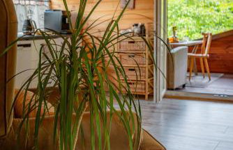 Orzechowy domek - Foto 33