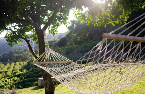 Quinta do Tapadinho - Wine & Tourism - Foto 33