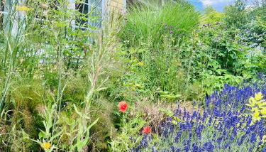 Landhaus Himmelpfort - Foto 2