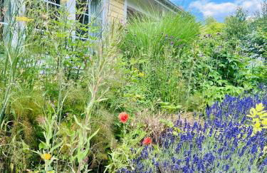 Landhaus Himmelpfort - Foto 2