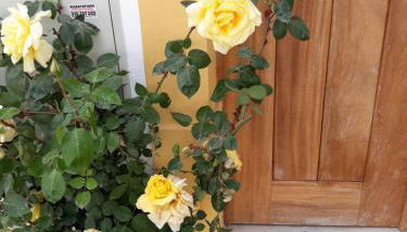 Casa d'Avó - Foto 4