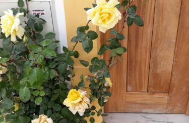 Casa d'Avó - Foto 4