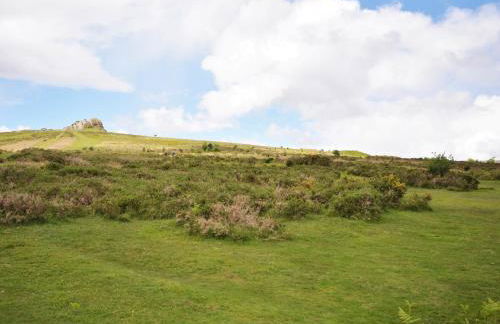 2 Bed in Haytor 46409 - Foto 21