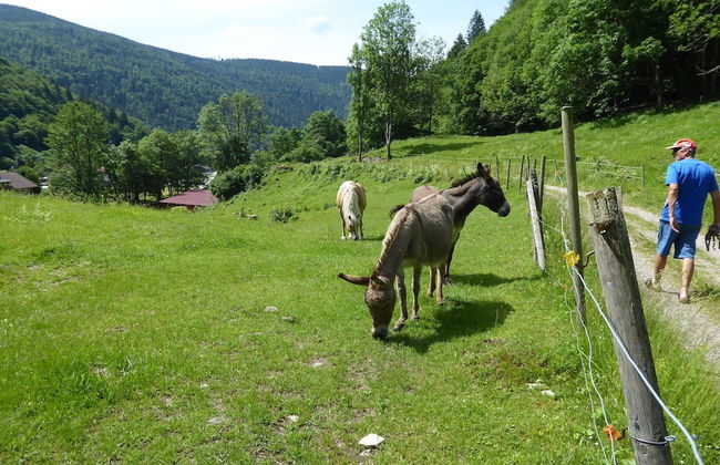 Garden Apartment, Brandenberg - Foto 36