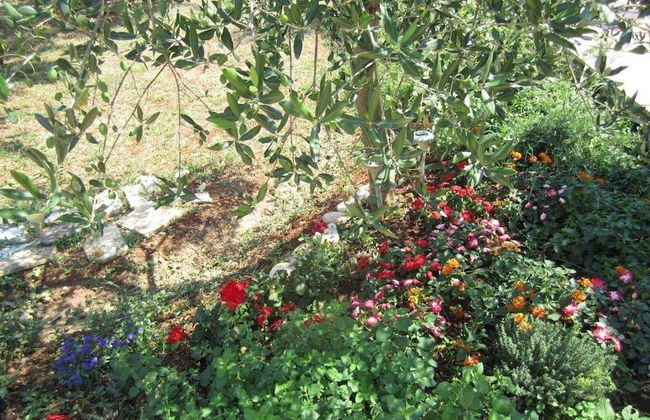 Apartments Biocic - Foto 30