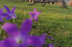 Leśny Domek - Foto 64