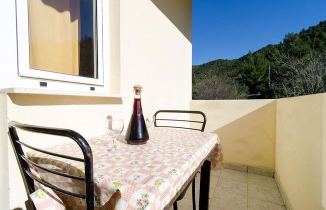 Apartments Dalmatin Zuljana - Studio Apartment 2 - Foto 14