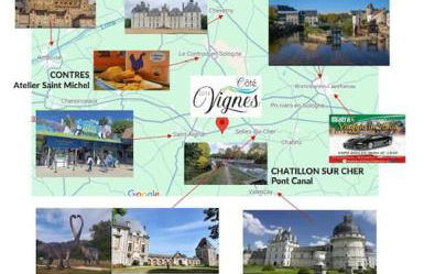 Côté Vignes - Foto 13