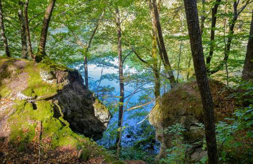 Plitvice Lakes House By The Creek - Happy Rentals - Foto 22