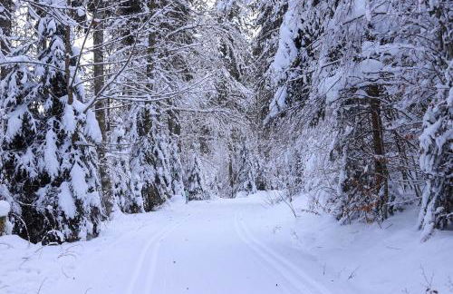 Gemütliches Ferienreihenhaus mit Holzkamin im Schwarzwald - Foto 11