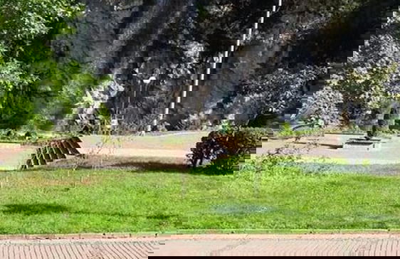 Zagnos Vadi Daire - Foto 12