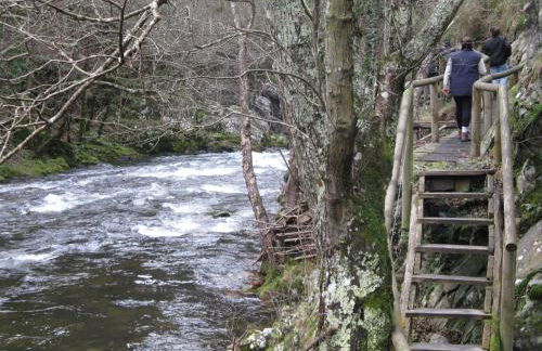 Apartamentos Rurales Casa El Caminero - Foto 36