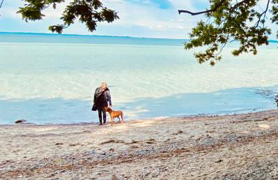Hof Goosend - Urlaub an der Ostsee & Schlei - Foto 31
