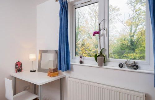 The White House - Foto 25