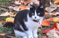 Casa del Contadino Rapale - Foto 47