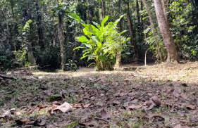 Goiabeira Village - Foto 20