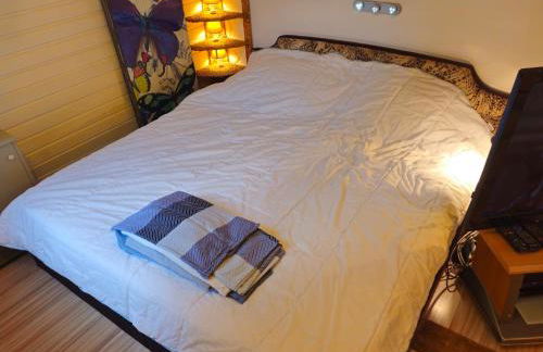 Winterberg Appartement 6 Pers aan Skilift grootste Skigebied nabij Bikepark Unieke locatie met zeer rustige tuin in het bos en het gezellige centrum leuke cafes restaurants en gratis zwembad sauna relax speelruimte parkeerplaats naast Der Brabander - Foto 15