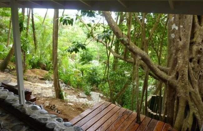 Citrus Creek Plantation - Photo 60