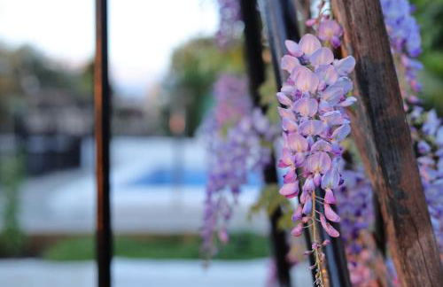 The Dream Holiday House - Foto 26