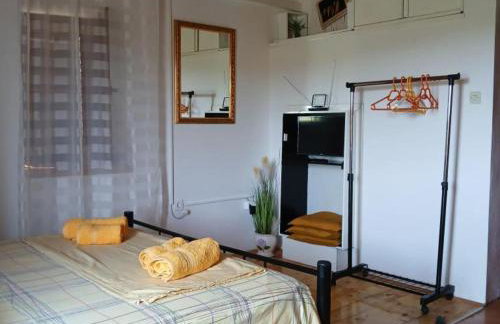 Studio Apartment with Terrace - Foto 1