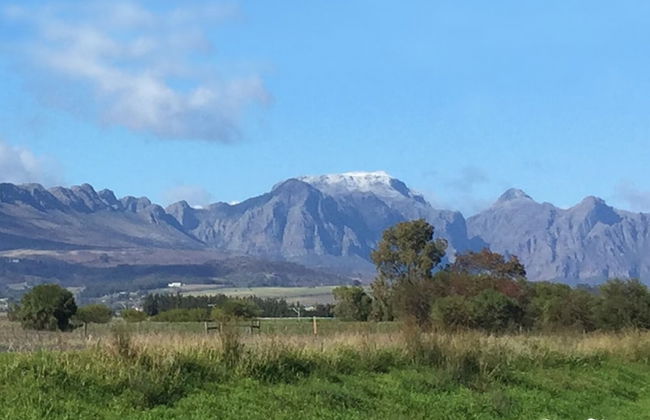 Ross Farms - Foto 13