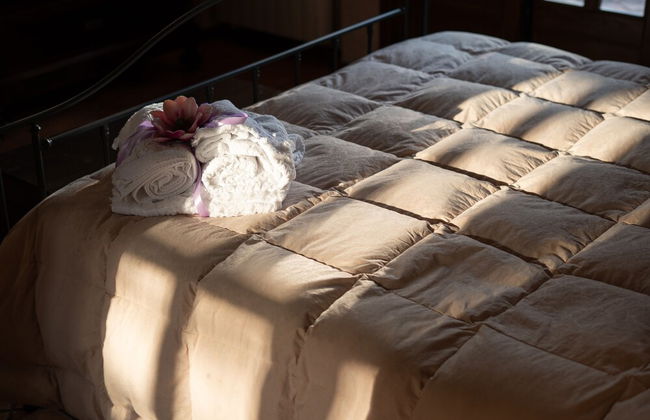 Il Castagno dell'Etna - Photo 47