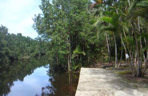 Casa Enorme para 12 pessoas, 4 suites e um fundo com 18mil metros de mata e um pier no rio que sai para o mar-Internet 100MB - Photo 21